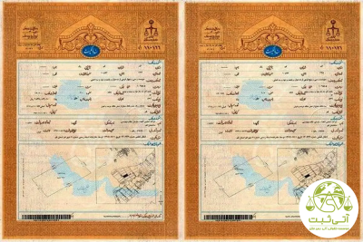 سند تک برگ