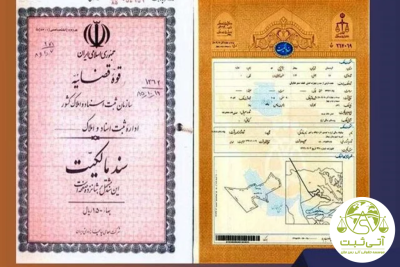 سند تک برگ
