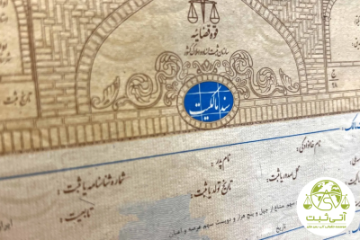 سند تک برگ 